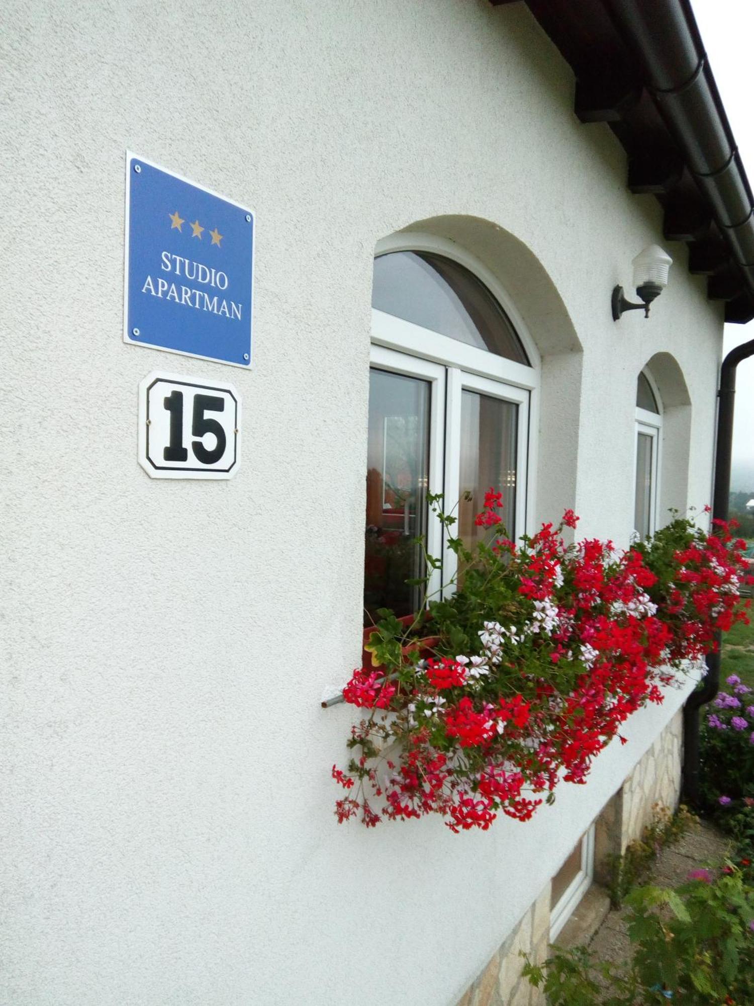 Apartments Zegarac House Korenica Exterior photo